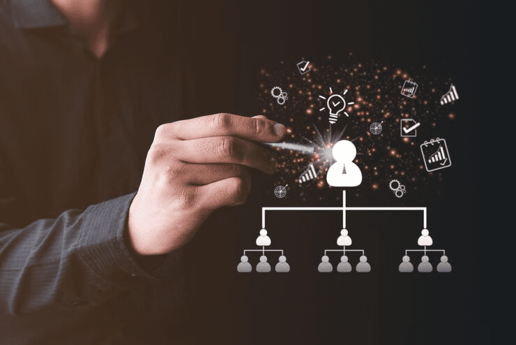 Organisational Design and Structure